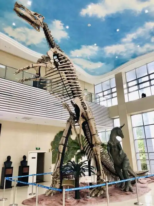 山东省地质博物馆