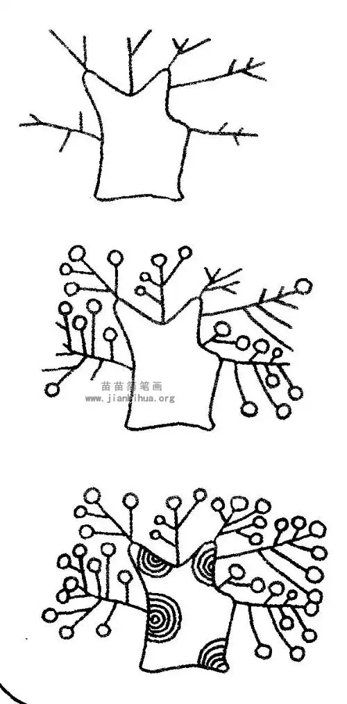 梧桐树简笔画图片与资料