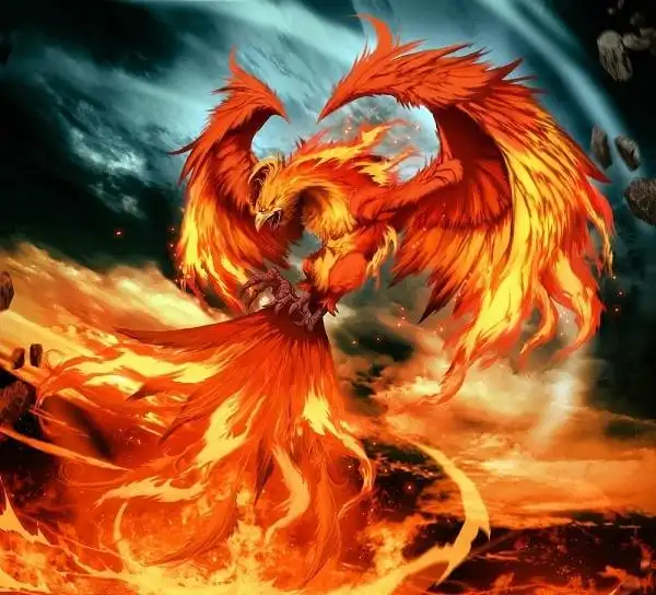 《山海异闻录》山海经故事-朱雀