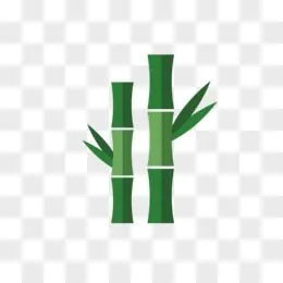 竹子植物插画装饰