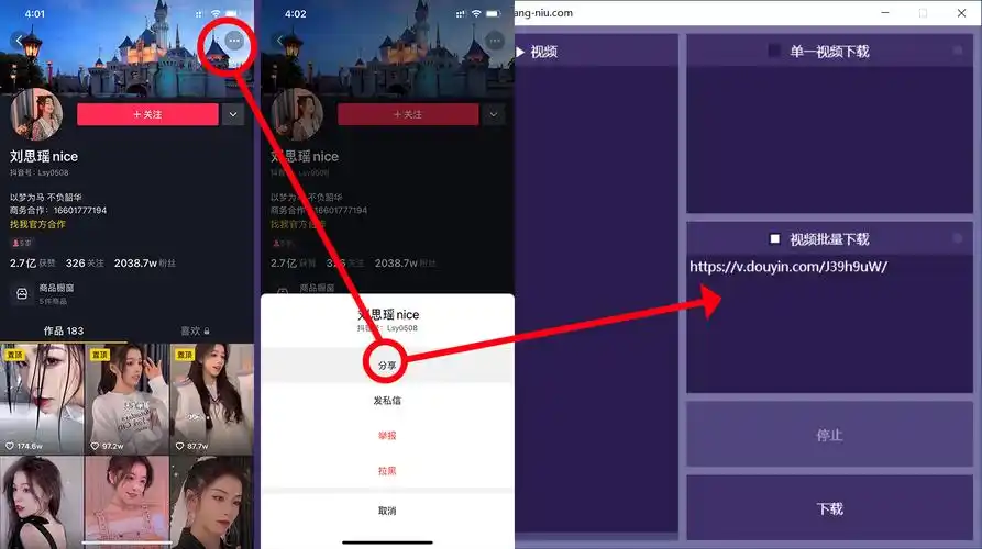 抖音视频去水印软件