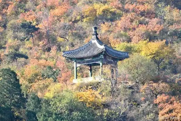 香山公园景点详细介绍,国家4a级景区,香山公园的华丽变身历程!