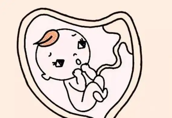 产前检查的间隔时间是多久时间)-开红网