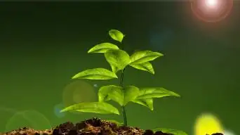 万物生长视频素材下载, 万物生长ae模板下载_光厂(vj师网)