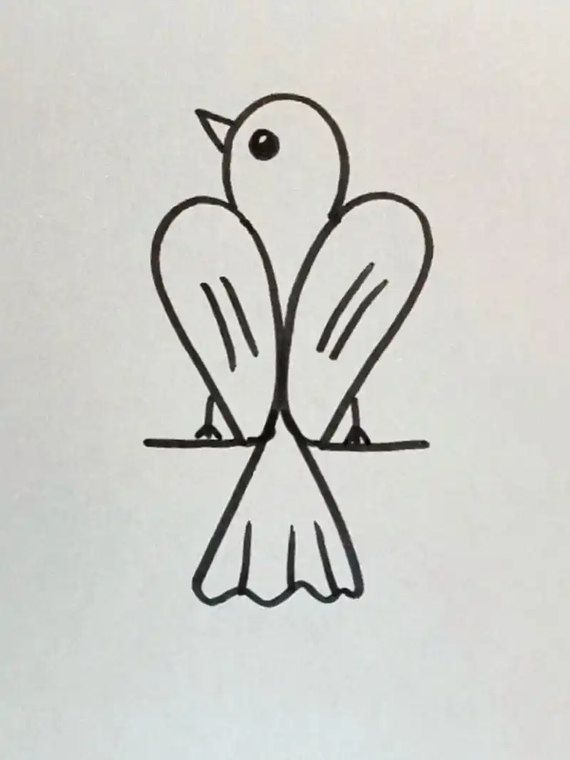 超简单的小鸟画法