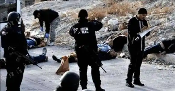 墨西哥毒贩敢杀警察和市长,他们为何不敢对本国的富豪下手?