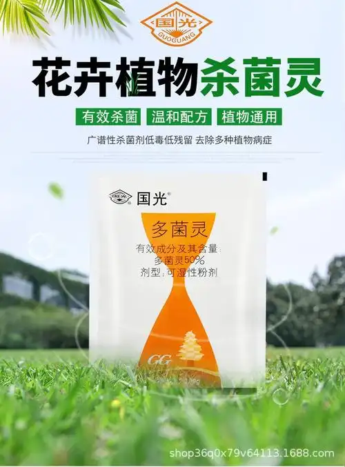 国光多菌灵多肉月季杀菌剂百菌清花药烟煤病叶斑病白粉病花卉养花