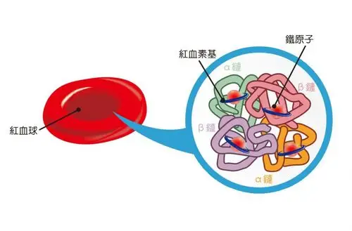 红细胞成熟剂reblozylluspaterceptaamt有哪些适应症