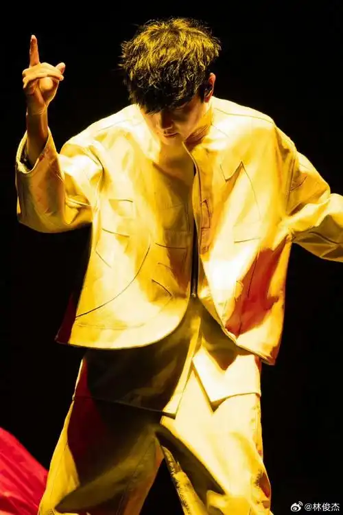 大麦同意退款抢林俊杰变林子祥的票