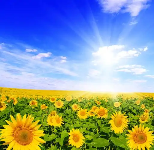 人生没有坦途别让溺爱宠坏幼小的心灵张坚原创丨寄语儿童节