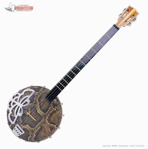 请问图中乐器书名是什么?