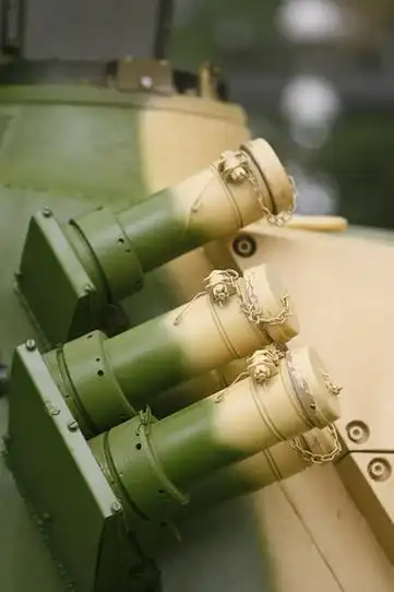 图文:99式主战坦克烟雾弹发射器