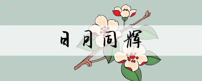 成语日月同辉