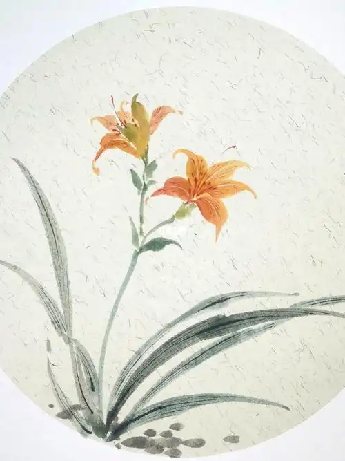 国画 #国画花鸟 #萱草 #国画萱草