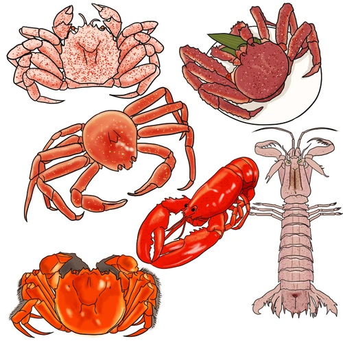 海鲜卡通简约风插画元素