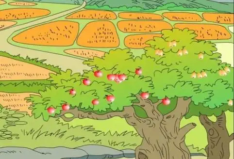 秋天的田野秋天的田野秋天田野