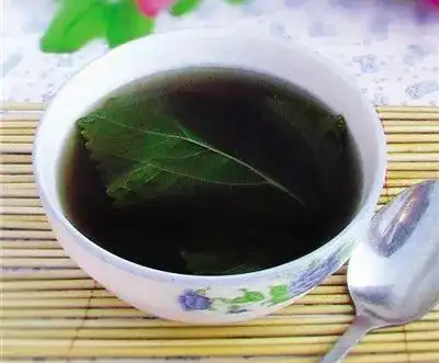 春天,紫苏,其实是个"宝",用它来泡水喝,或能解决3个问题|紫苏叶|生姜