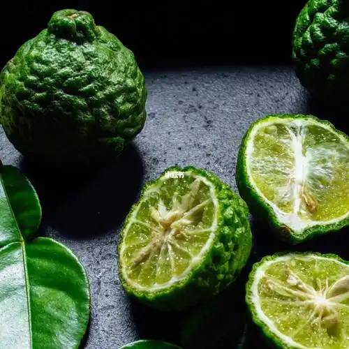 olfaction n |  沙漠玫瑰香水