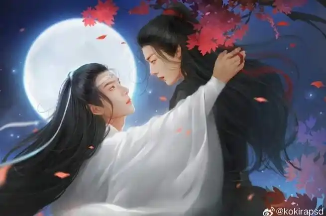 肖战王一博陈情令