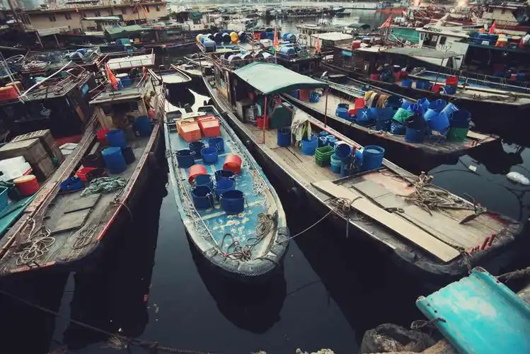 深圳蛇口渔港,仿佛看到了三十年前的渔村