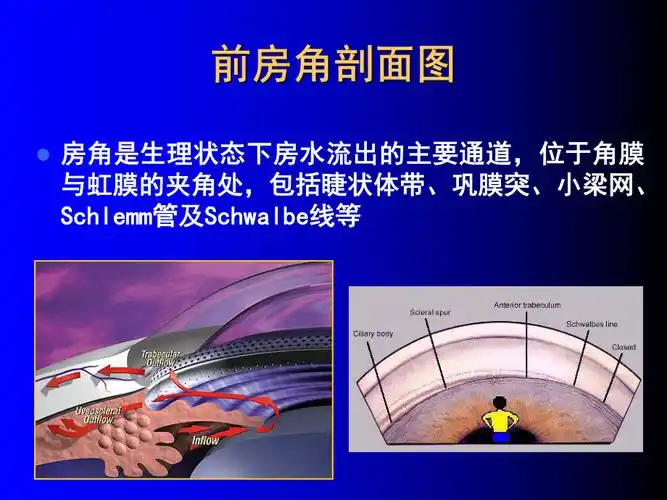 马晓华前房角镜及超声生物_第3页