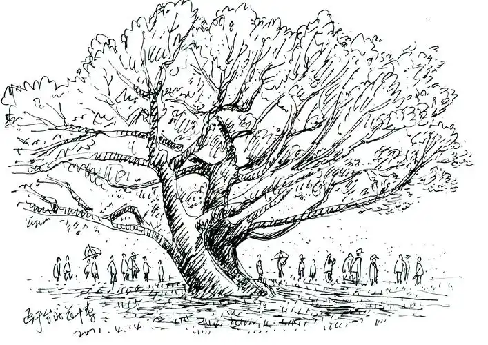 台北花博会院内的大榕树.