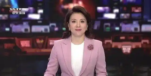 问题一,求中央电视台cctv4新闻节目主持人孟桐资料