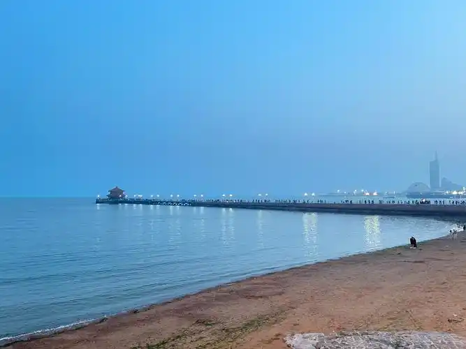 青岛栈桥拍照大爷被要求停止营业 海鸥回来了青岛栈桥拍照大爷消失了_