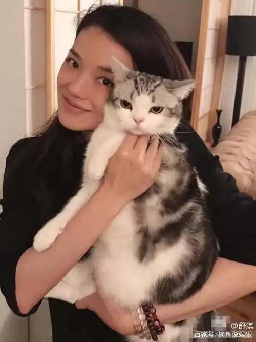 陈乔恩与猫咪的合影,两位这是要比较谁的眼睛更大一些吗?