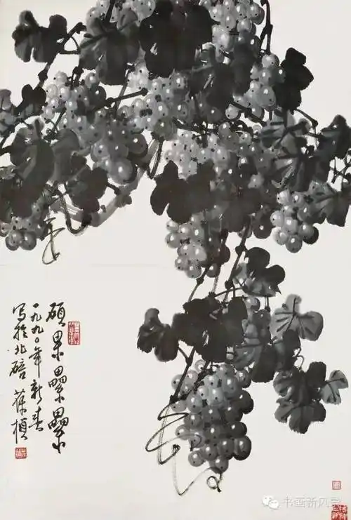 苏葆桢 笔下的"黑"葡萄,个个晶莹通透,令人垂涎欲滴|绘画|花鸟画家