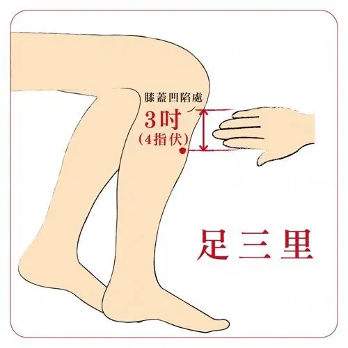 就是它们击溃你的肠胃!中医:养胃健脾多按4穴道- 第2页