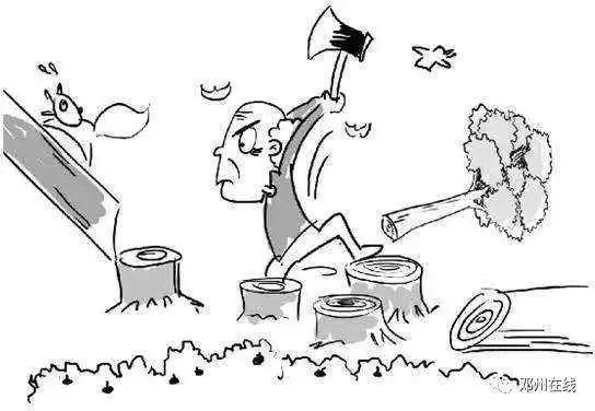 近日,市森林公安局接到群众匿名举报,在林扒镇西许营村桑陶路南侧有人