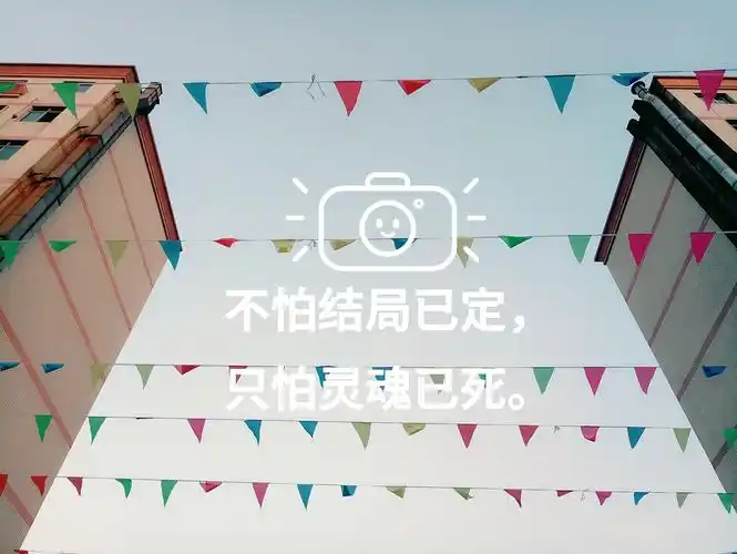 好喜欢你不认输的样子