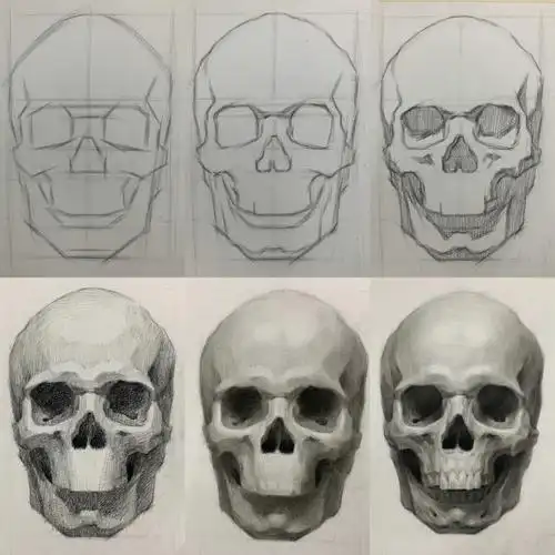 素描头像头骨结构步骤图