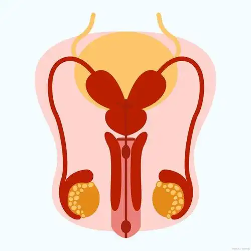 精索静脉曲张的治疗方法:非手术治疗