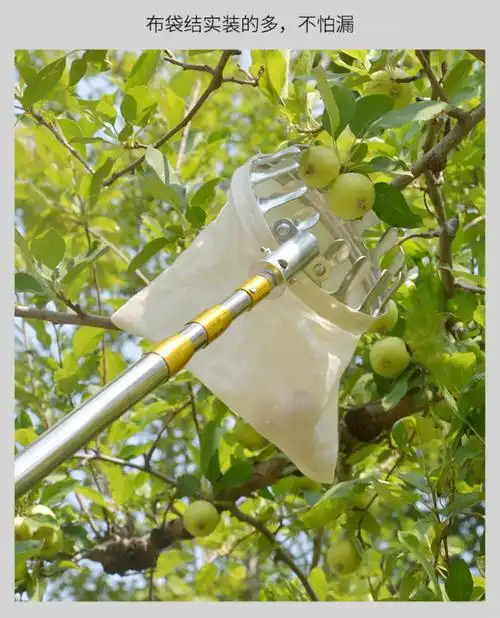 摘柿子专用工具摘水果苹果柿子枣芒果梨李子果子工具高空摘果器采摘 7