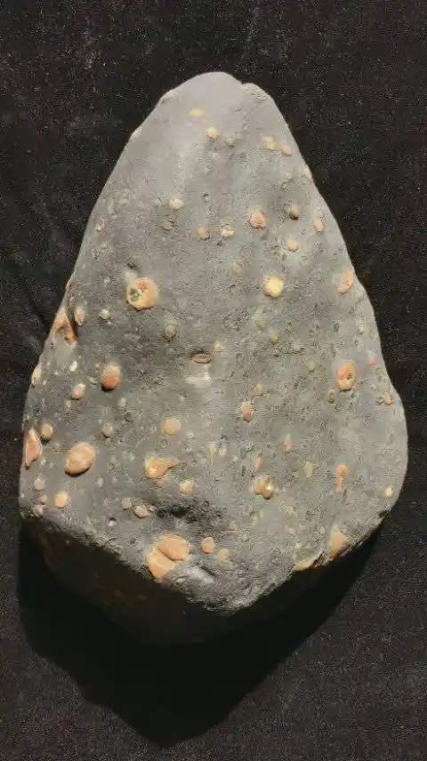 2020-2-15 来自 精品陨石欣赏超话 已编辑