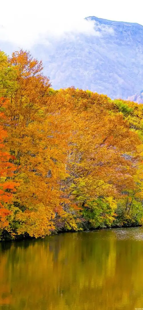 多彩壁纸640期|秋天风景高清壁纸 愿看风景的你都有美好心情