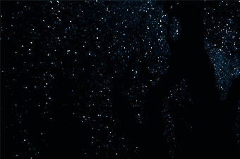 错过四珠连星不怕华附天文社明日带你见证最后一次星空大戏