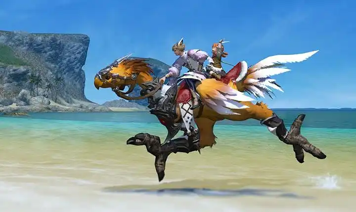 物品:大陆行鸟笛