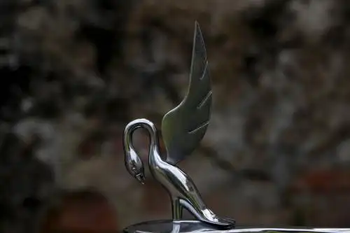 是7月25日在拉脱维亚采西斯老爷车展上拍摄的一个1939年的帕卡德车标