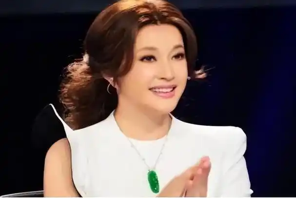 刘晓庆翡翠珠宝价值102亿(刘晓庆19套房26家公司)(3)