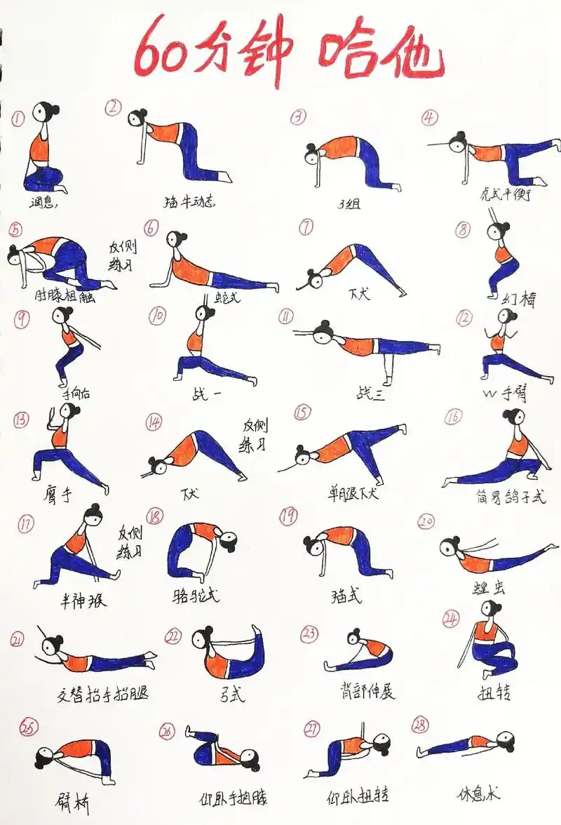 哈他瑜伽排课合集,每节课上课内容都一样 - 抖音