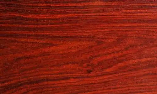 红木小贴士之酸枝木鉴赏