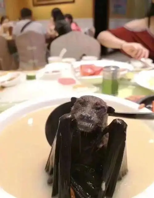 触目惊心武汉肺炎始发地华南海鲜市场鲜为人知的照片曝光