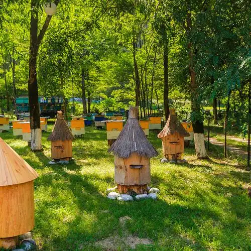 蜂场_蜜蜂_房子_蜂蜜_蜂窝_自然_健康食物_制作_高清图片_全景视觉