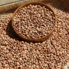 250包邮西北特产 农家地道豇豆 豇豆豆种子