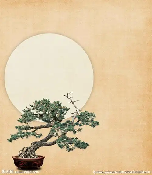 中国风工笔画 松设计图__psd分层素材_psd分层素材_设计图库_昵图网