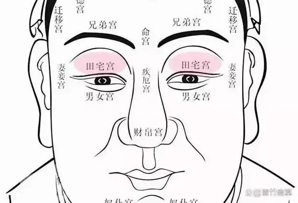 《麻衣神相》面相十二宫深度剖析,揭示人生运势密码