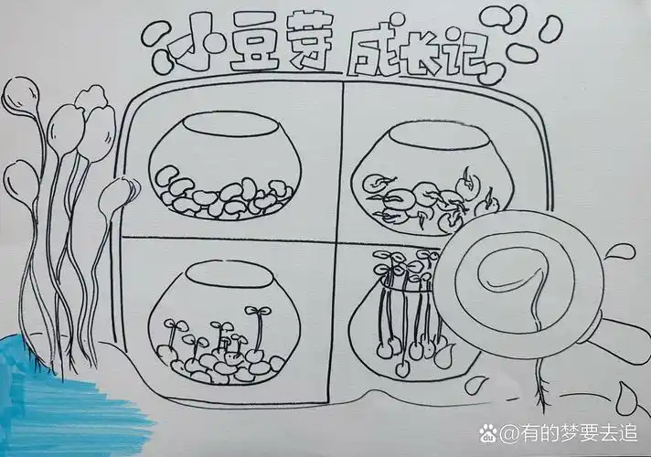 自然笔记豆芽成长记手抄报 线稿可以直接打印涂色哈 每次画画都能增长